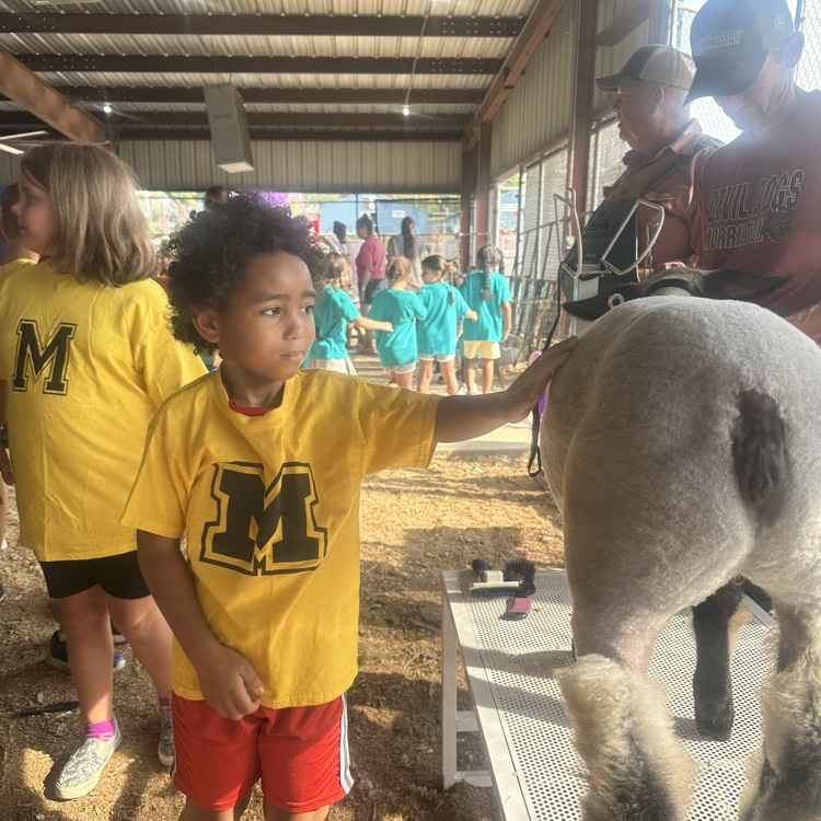 children at the fair