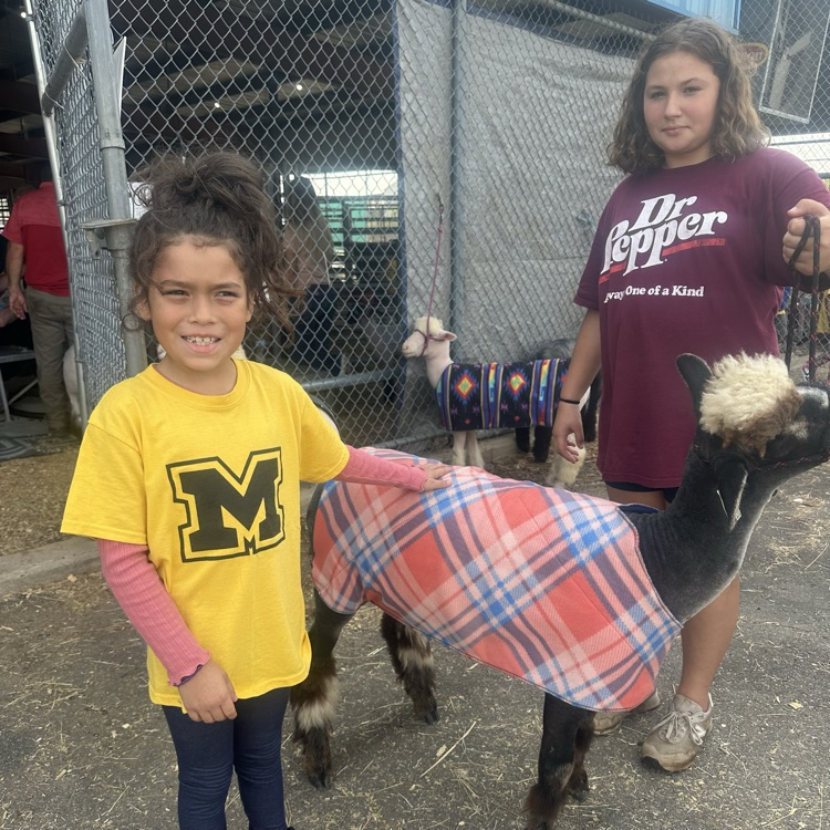 children at the fair