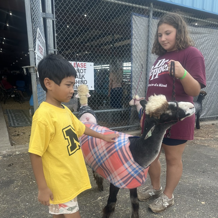 children at the fair