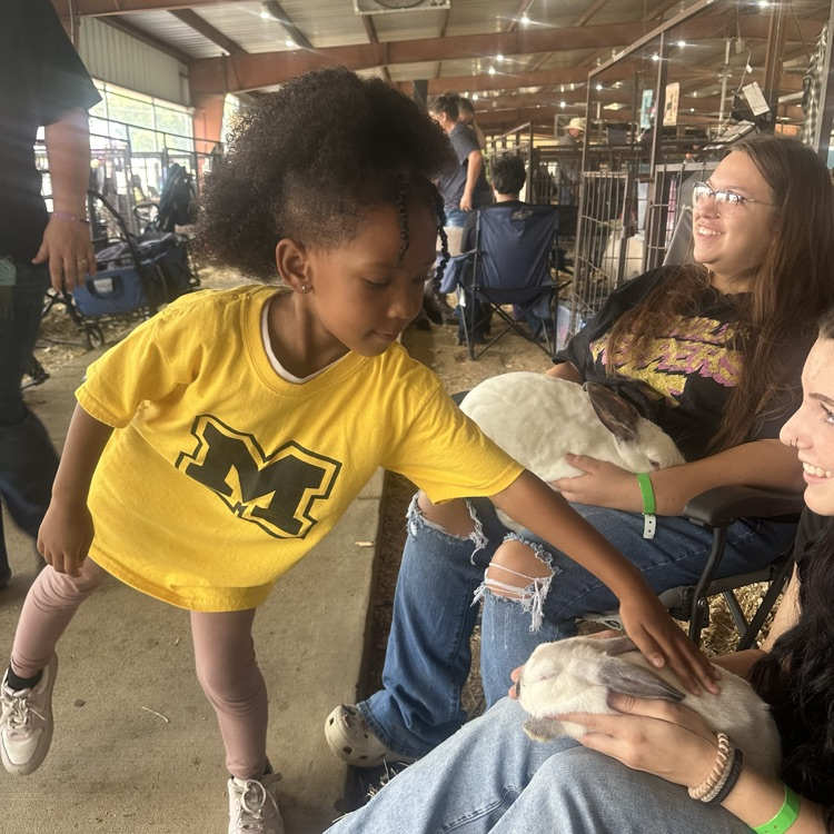 children at the fair