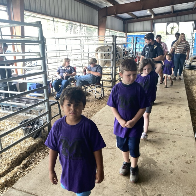 kids at the fair
