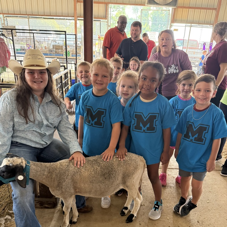 kids with an animal