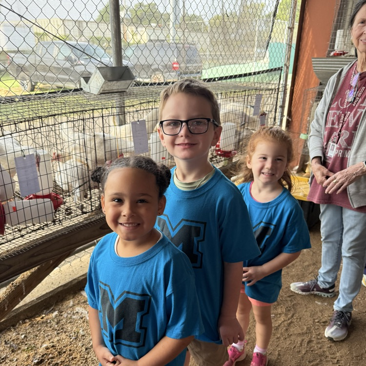 kids at the fair 