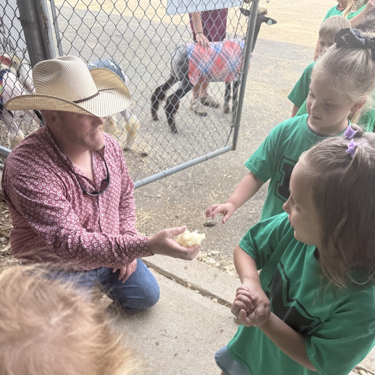 students at the fair 