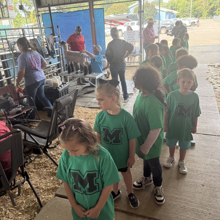 students at the fair 