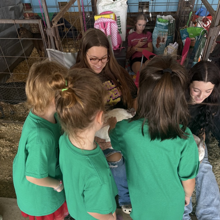 students at the fair 