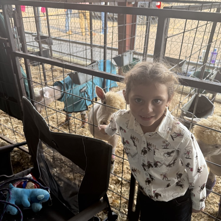students at the fair 