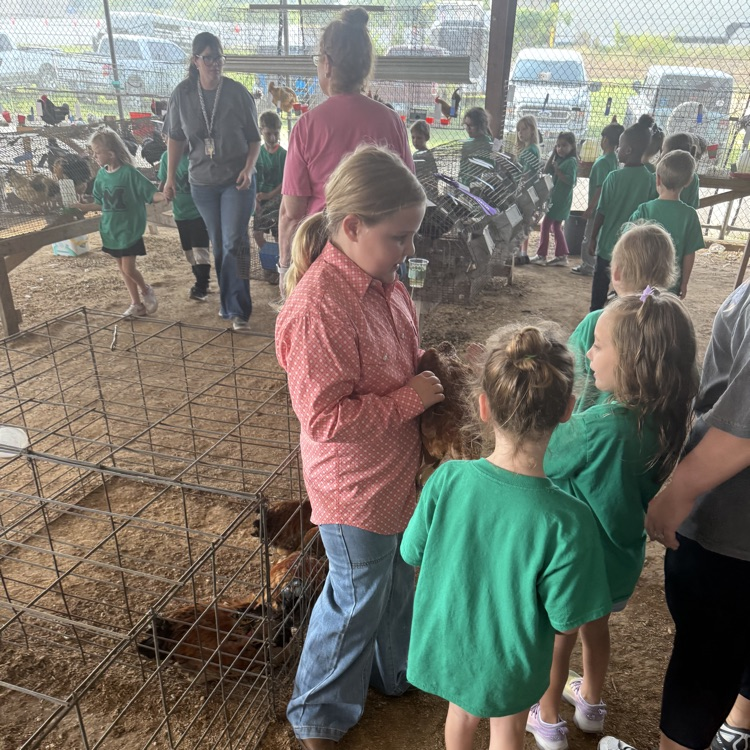 students at the fair 