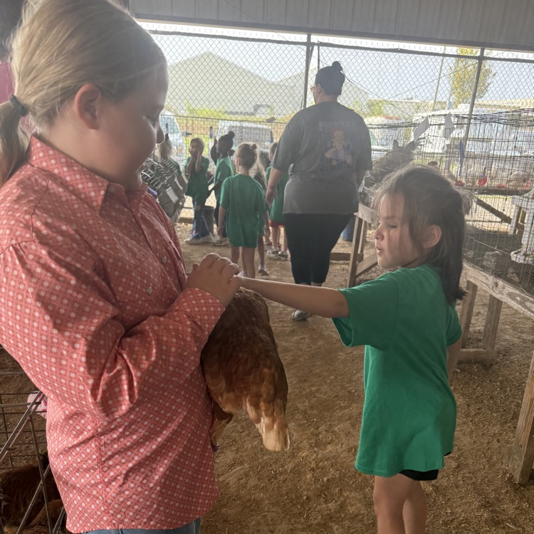 students at the fair 