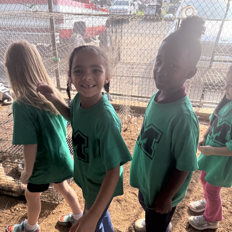 students at the fair 