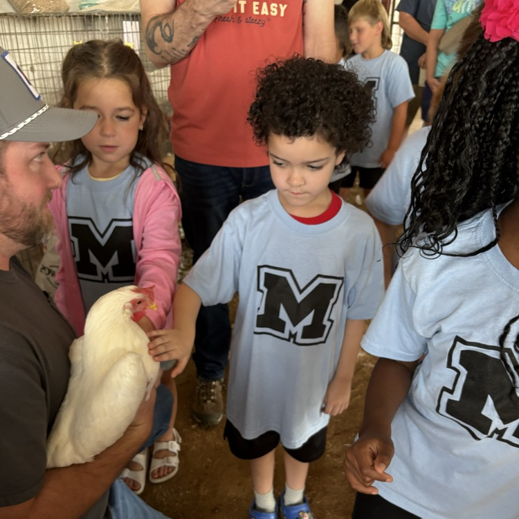 students at the fair