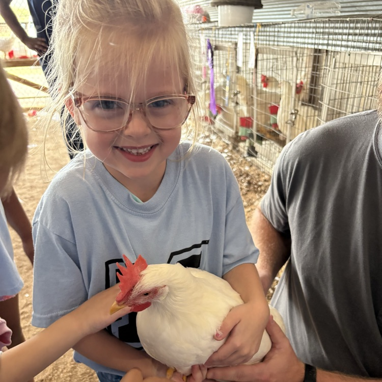 students at the fair