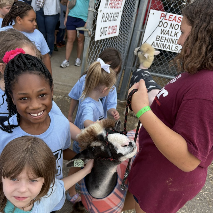 students at the fair