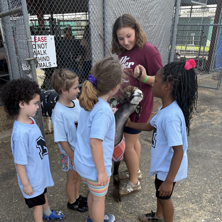 students at the fair