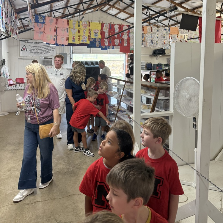 students at the fair 