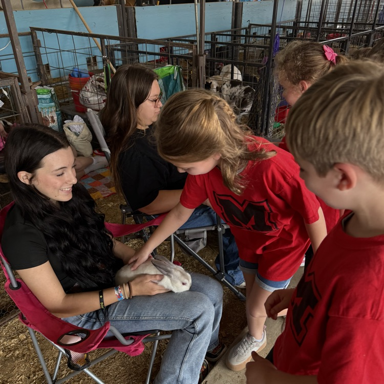 students at the fair
