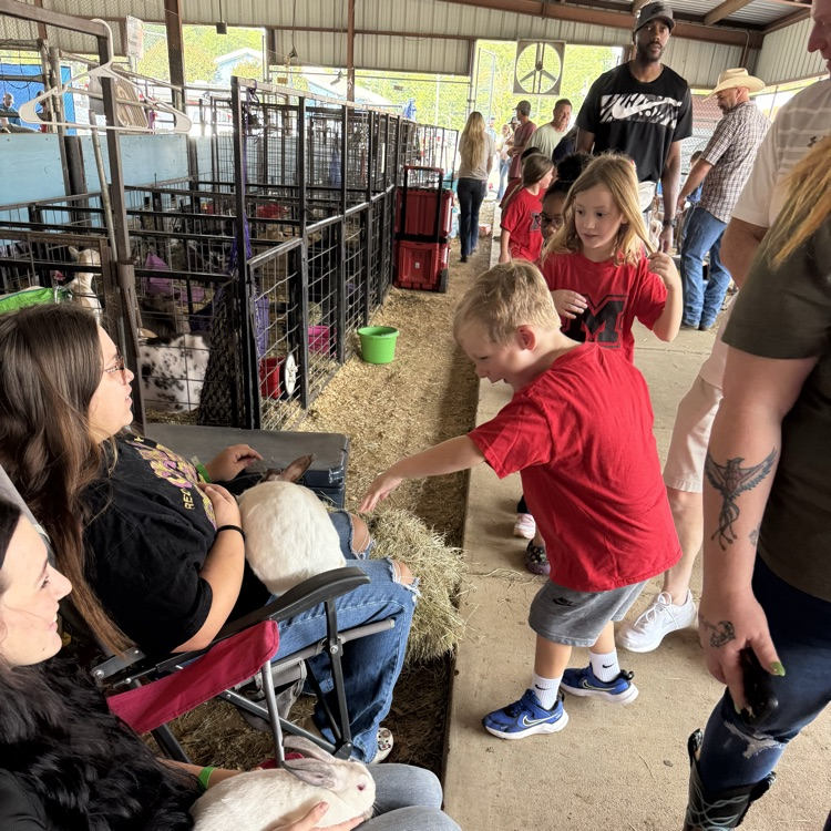 students at the fair