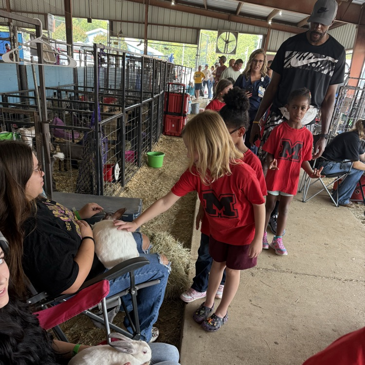students at the fair