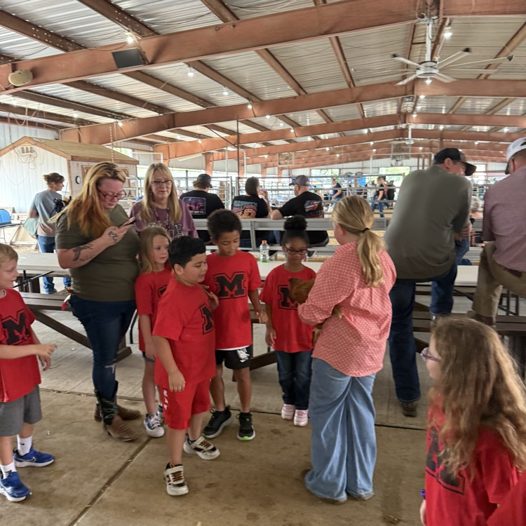 students at the fair