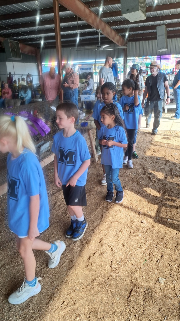 kids at the fair