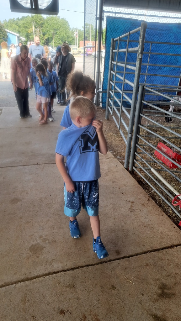 a boy at the fair