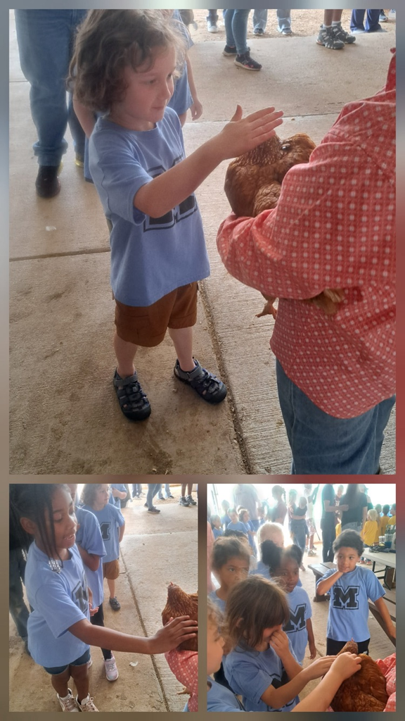 kids at the fair