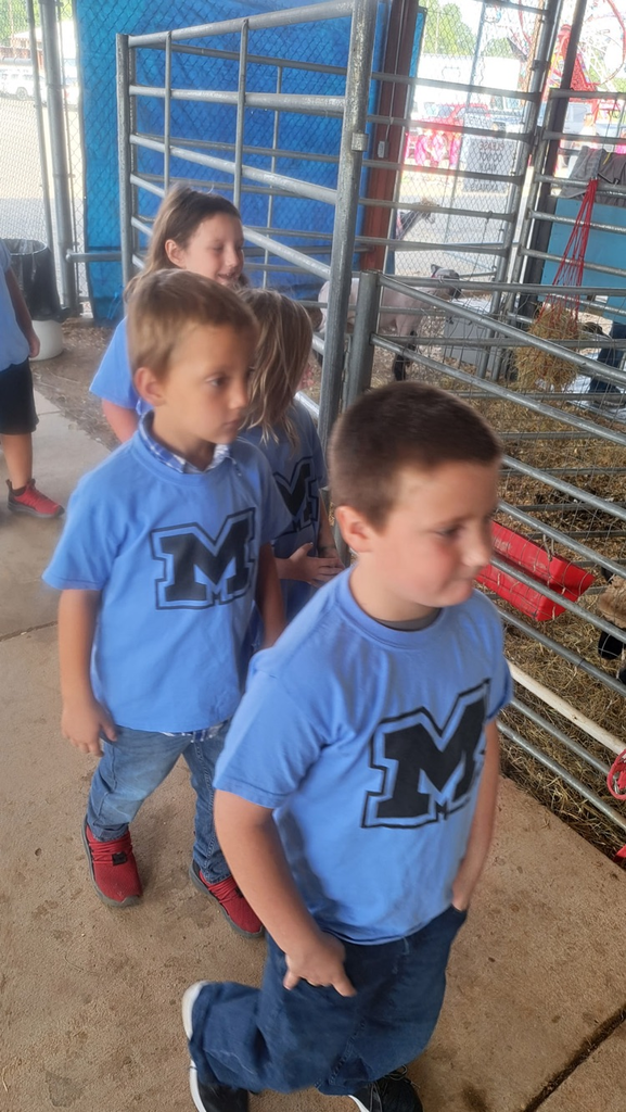 kids at the fair