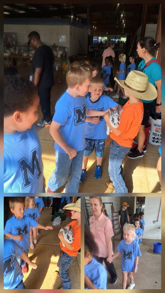 kids at the fair
