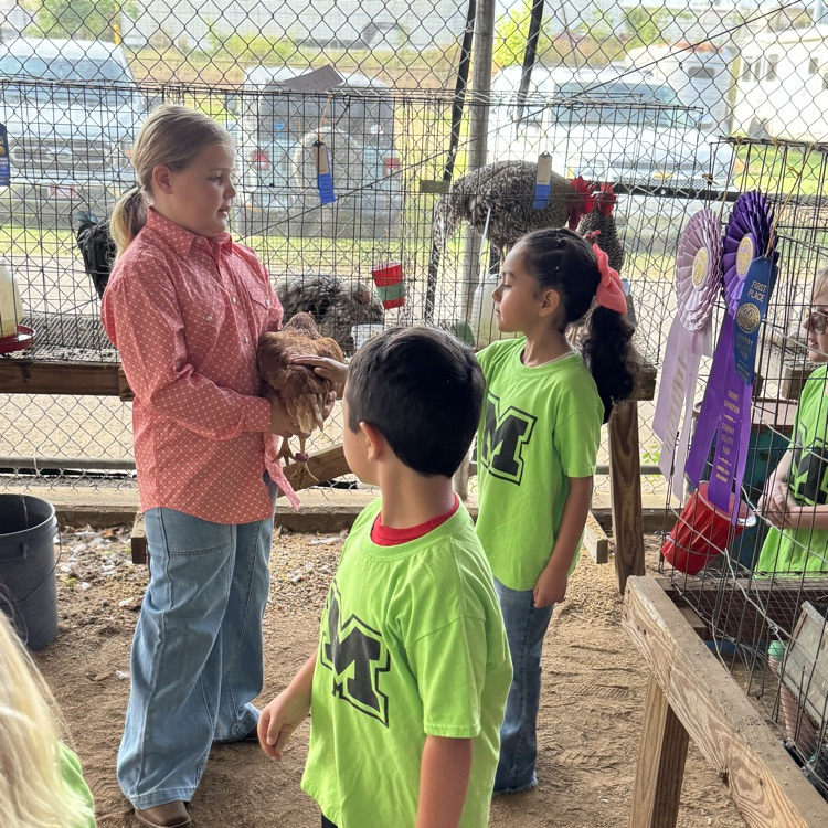 students at the fair