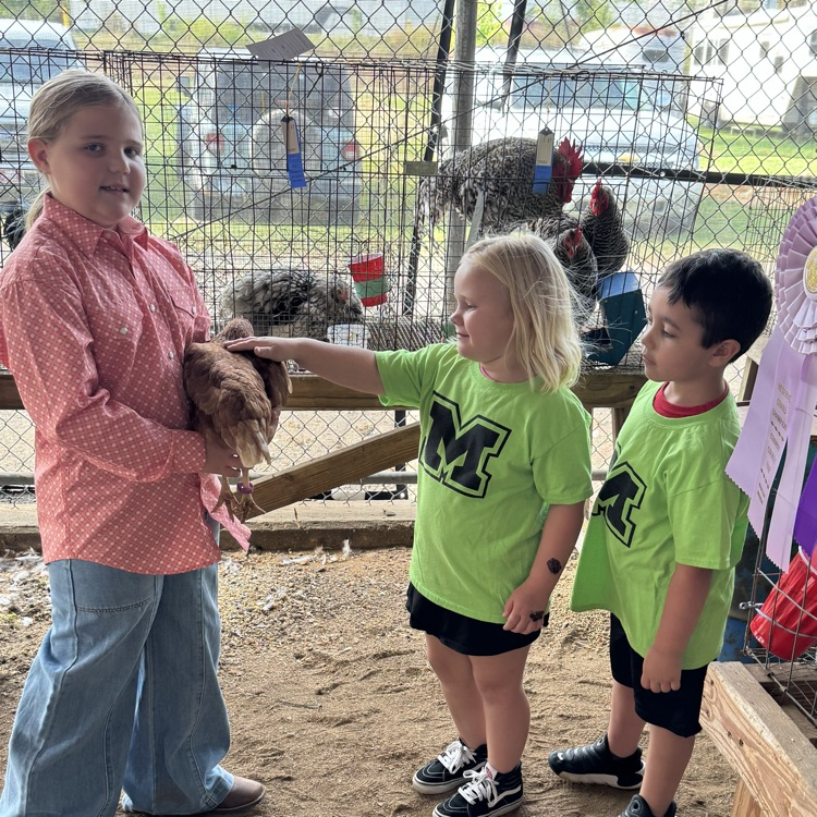 students at the fair