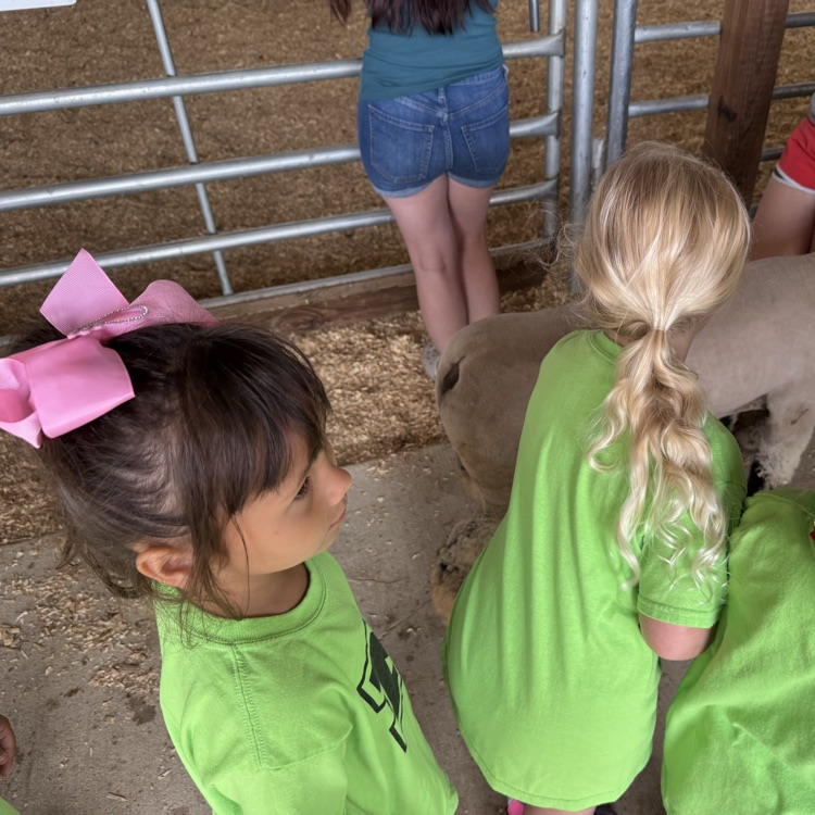students at the fair