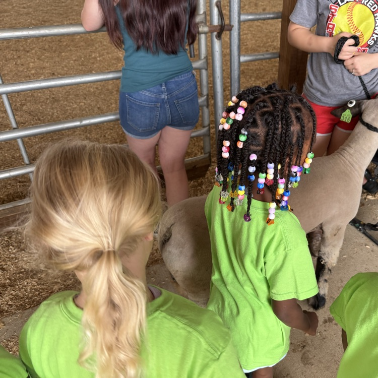 students at the fair