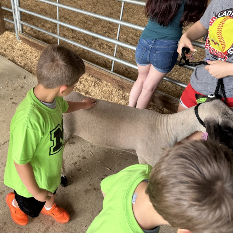 students at the fair