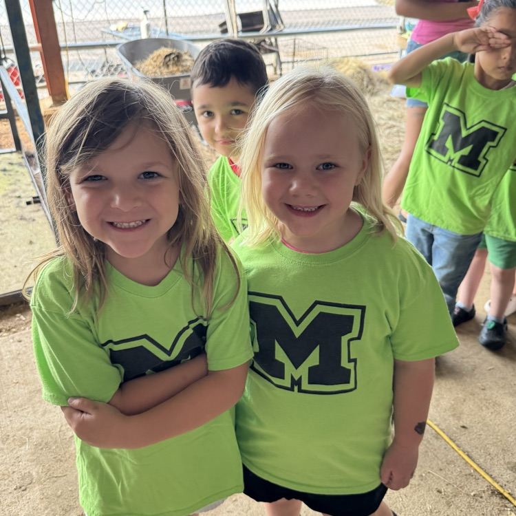 students at the fair