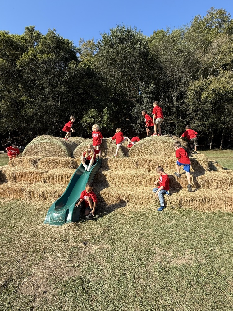 kids on hay