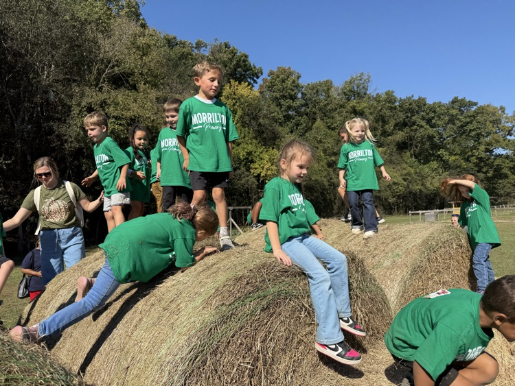 children on hay