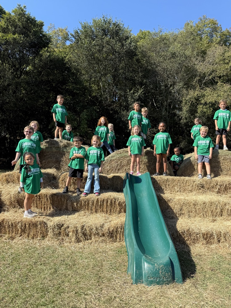 children on hay