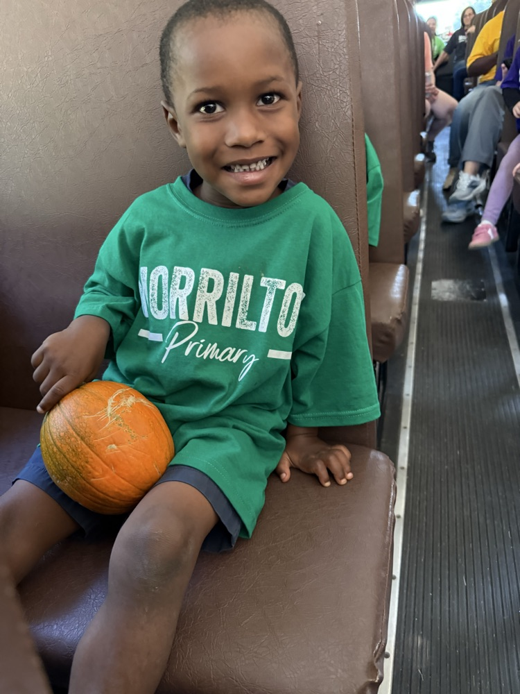 child with pumpkin