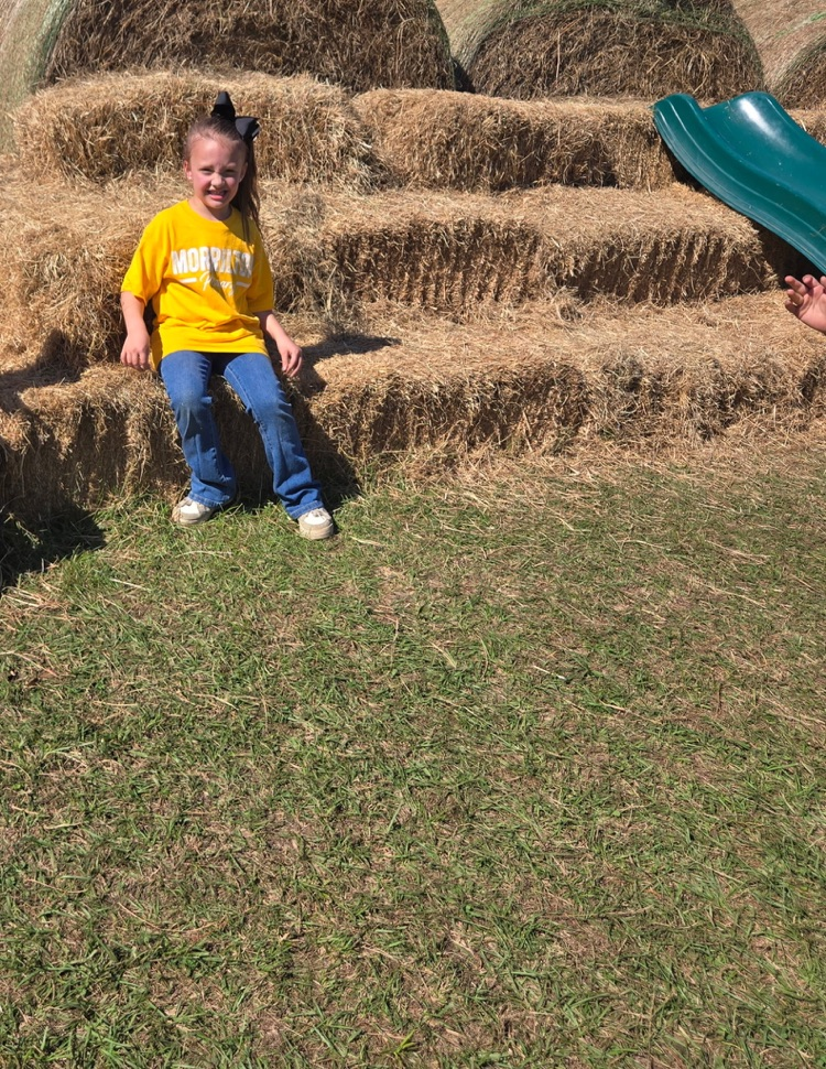 child on hay