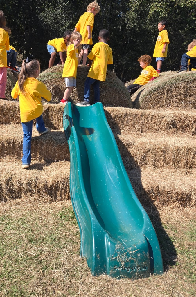children on slide