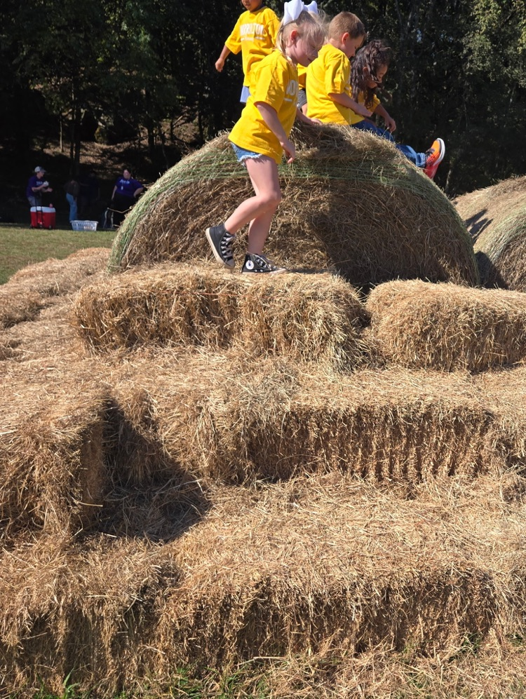 children on hay