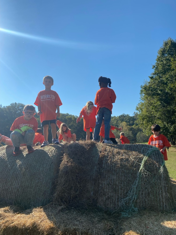 students on hay