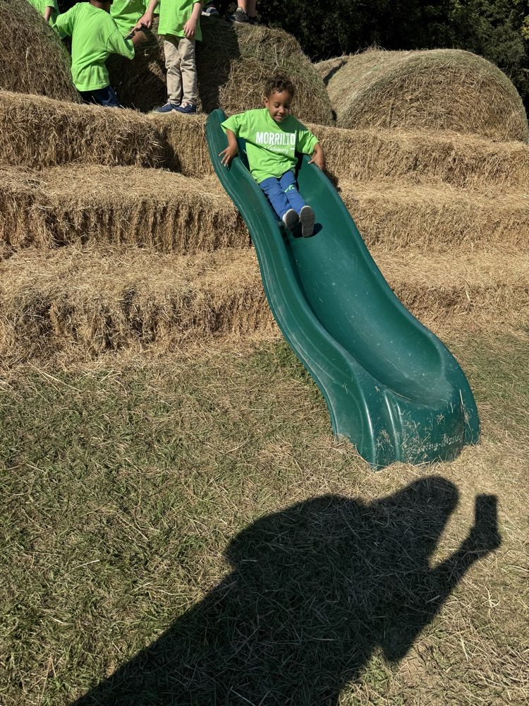 children at play