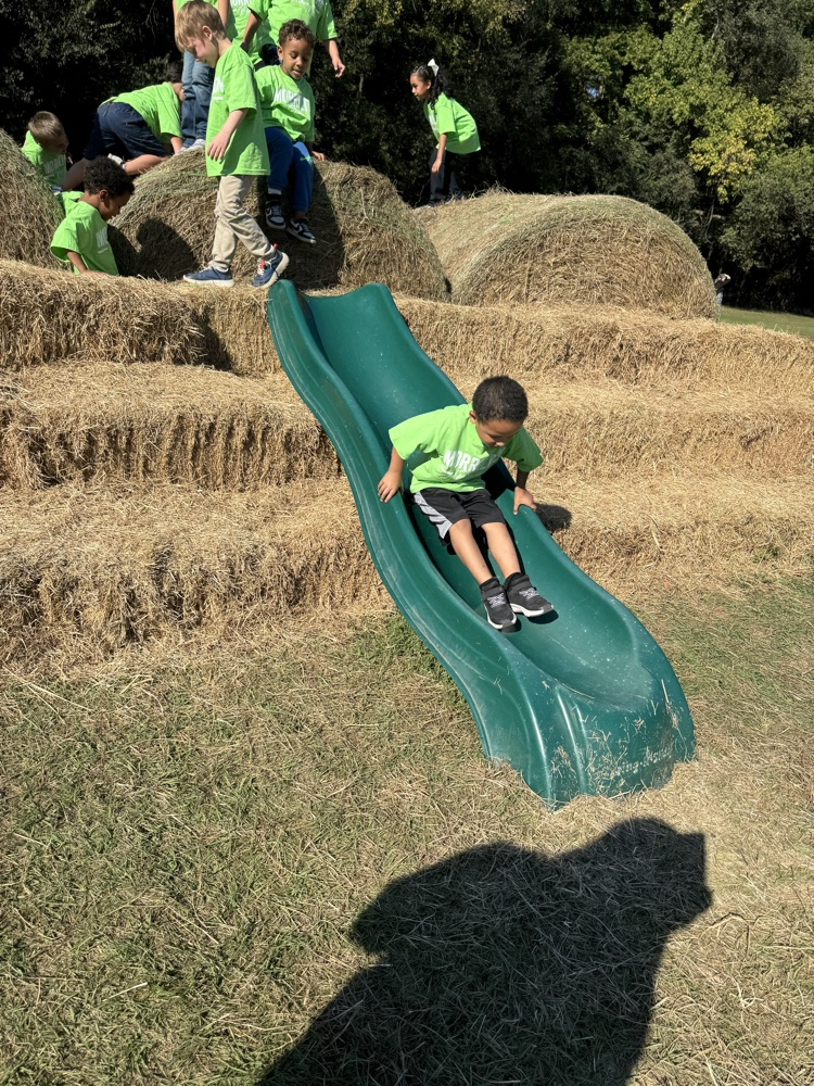 children at play