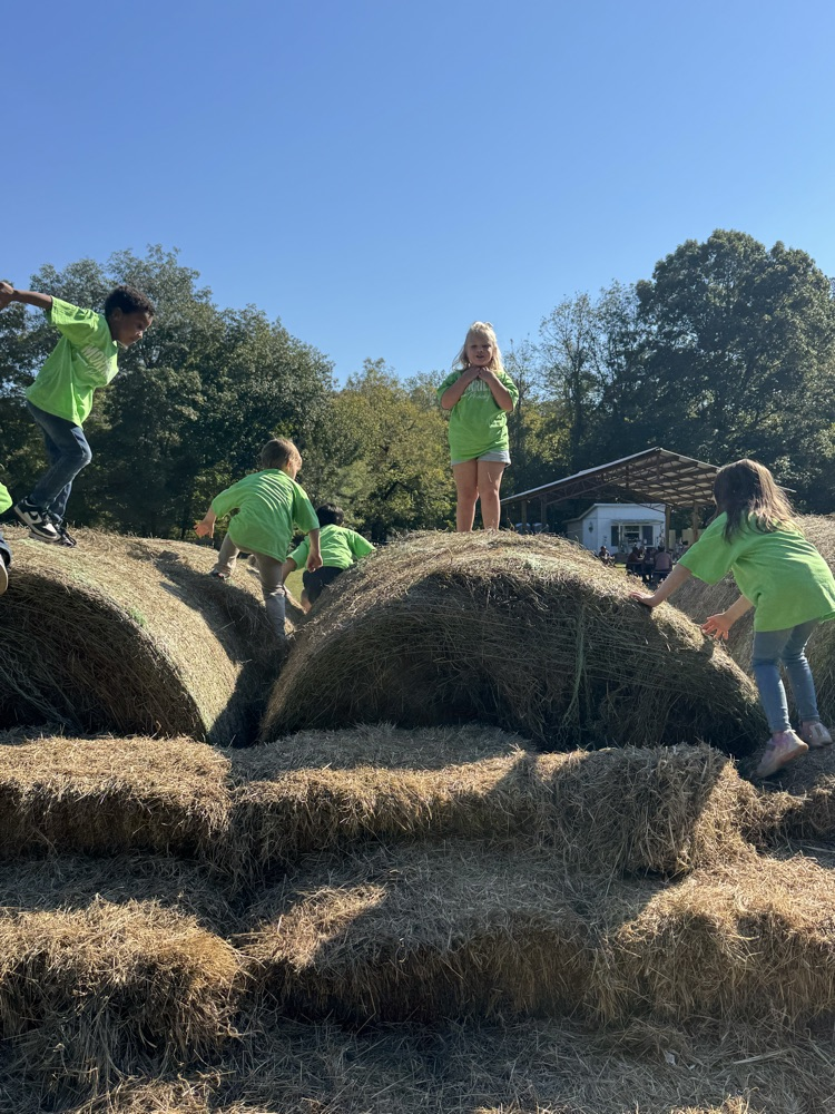 children at play on hay