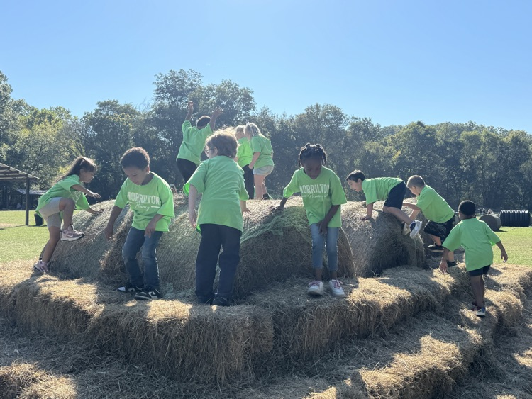 children at play on hay