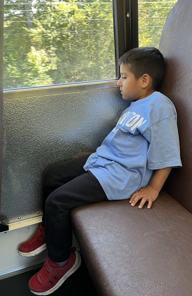 child asleep on bus