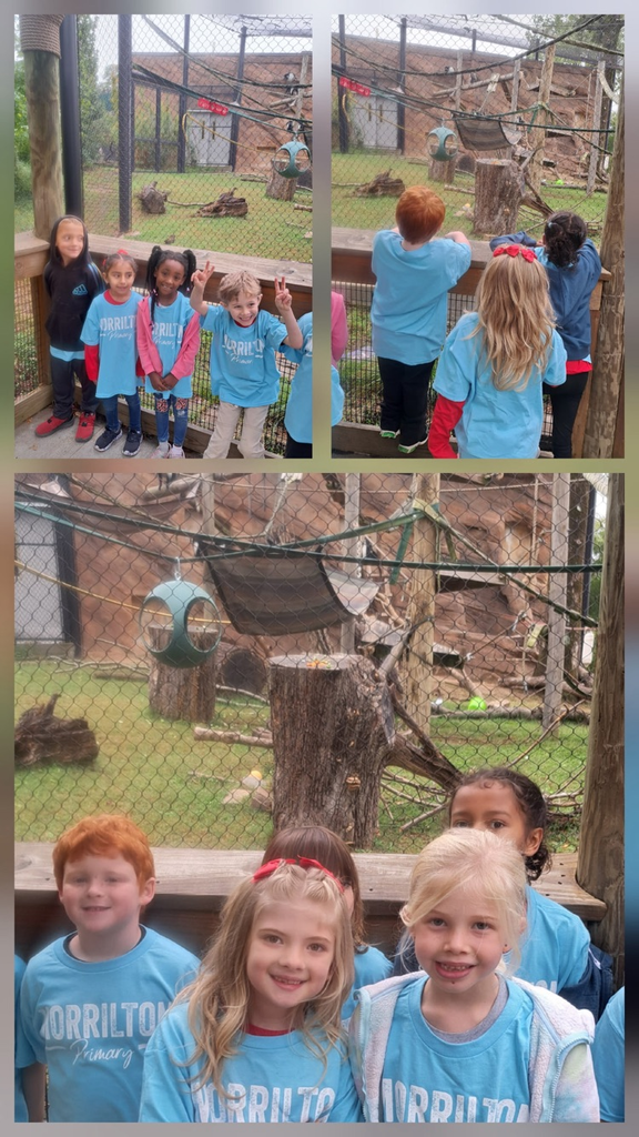 students at the zoo 