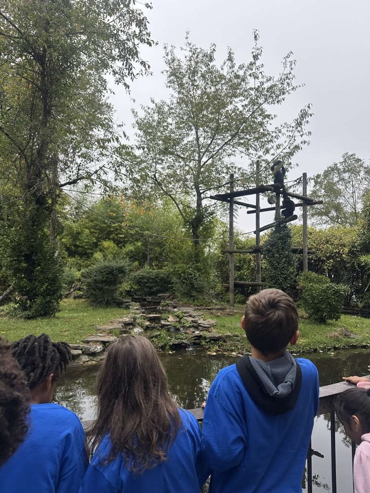 students at the zoo 