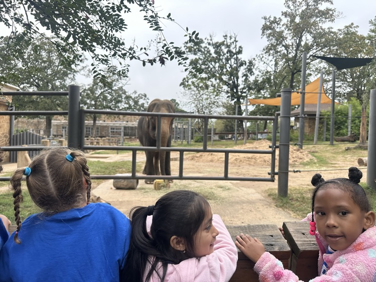 students at the zoo 